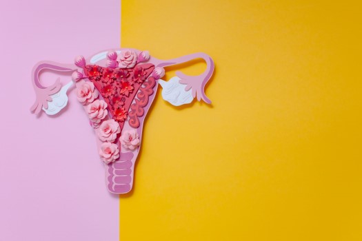 The concept of endometriosis of the uterus / The concept of endometriosis of the uterus